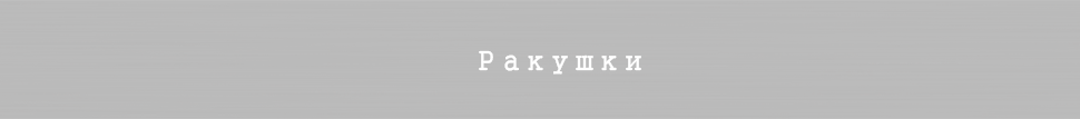 Ракушки