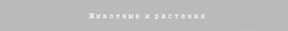 Животные и растения